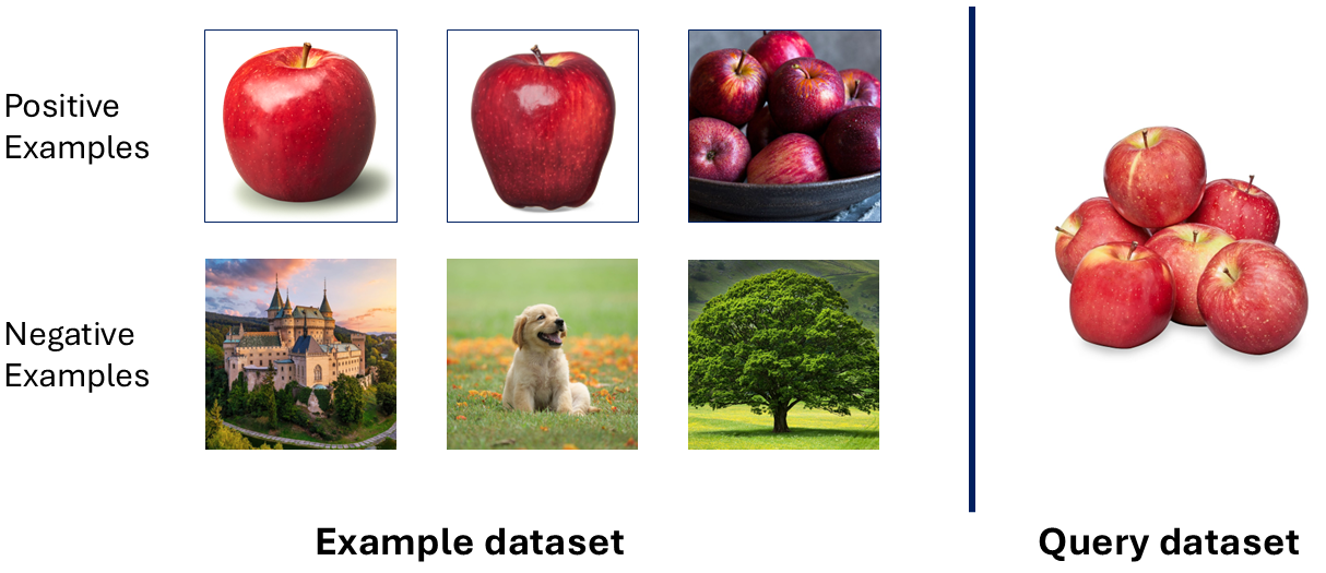 A visualization of the few-shot image classification problem. Some positive examples of a desired class are provided, along with some negative examples of other classes. The model should be able to identify the class for any new image.  